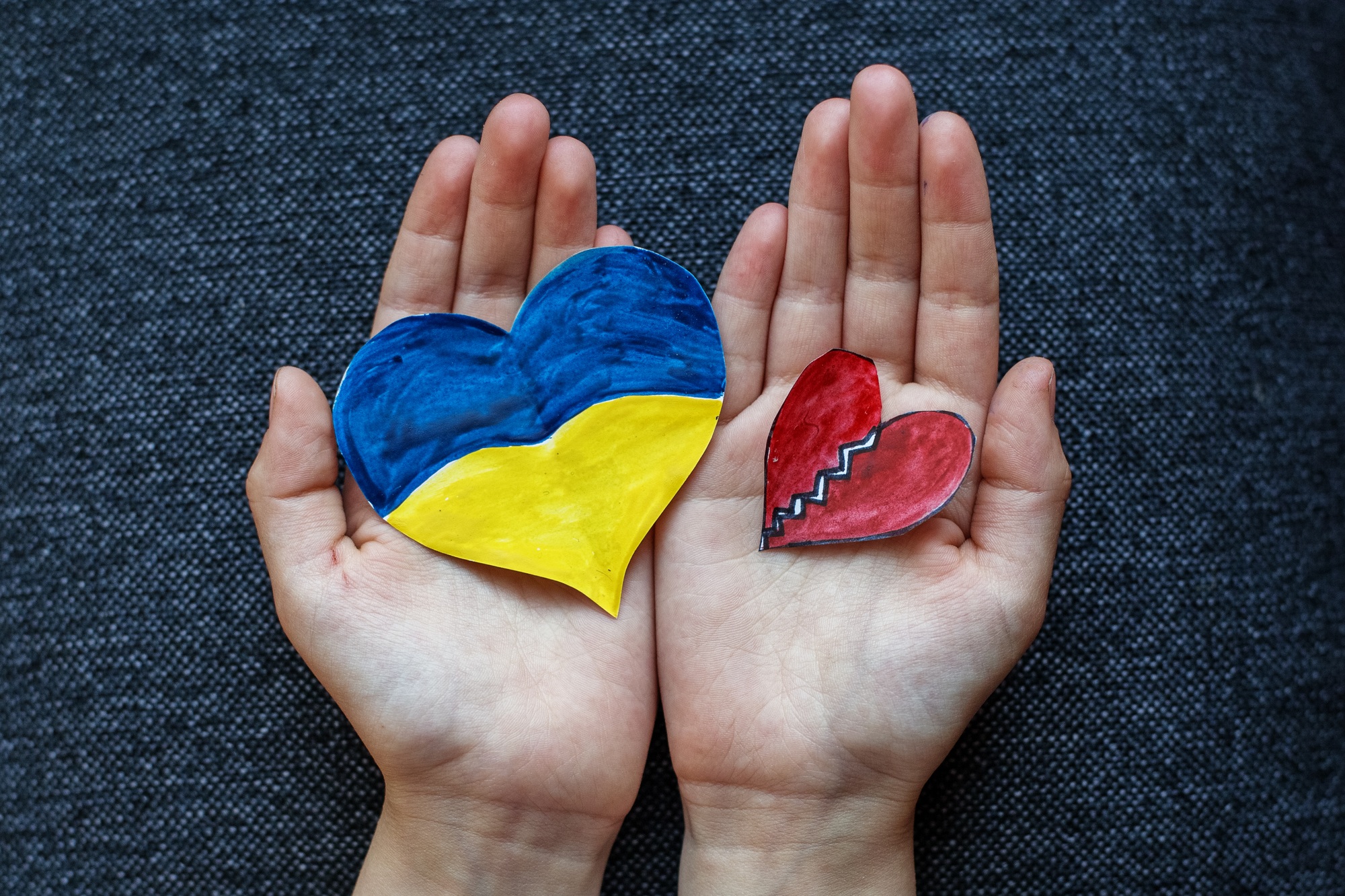 Heart of yellow-blue colors of national flag of Ukraine and red heart in childs hand. Top view.