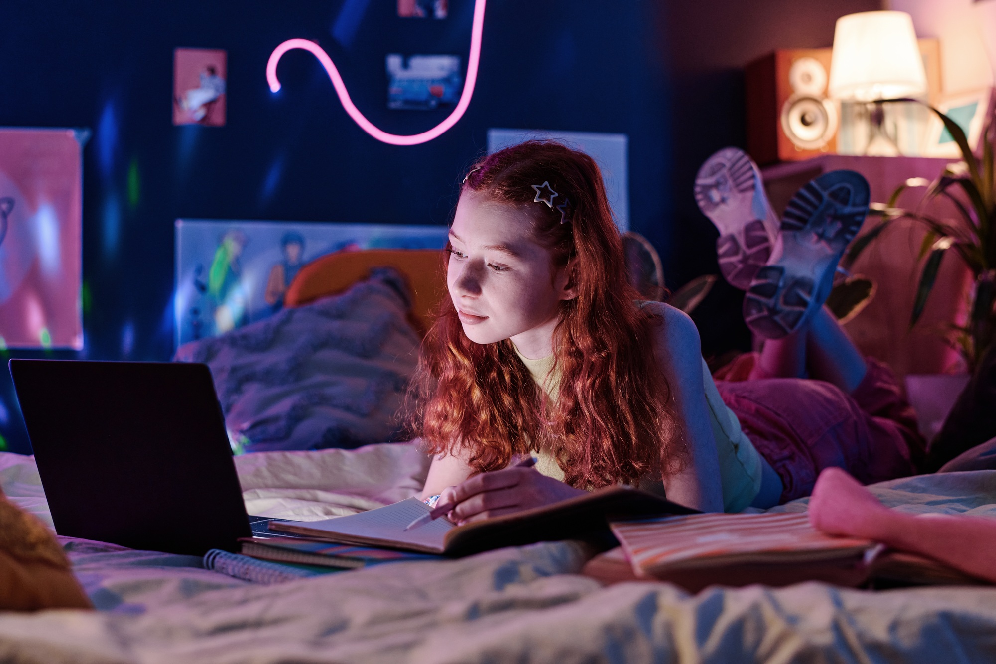 Teen Girl Studying In Evening