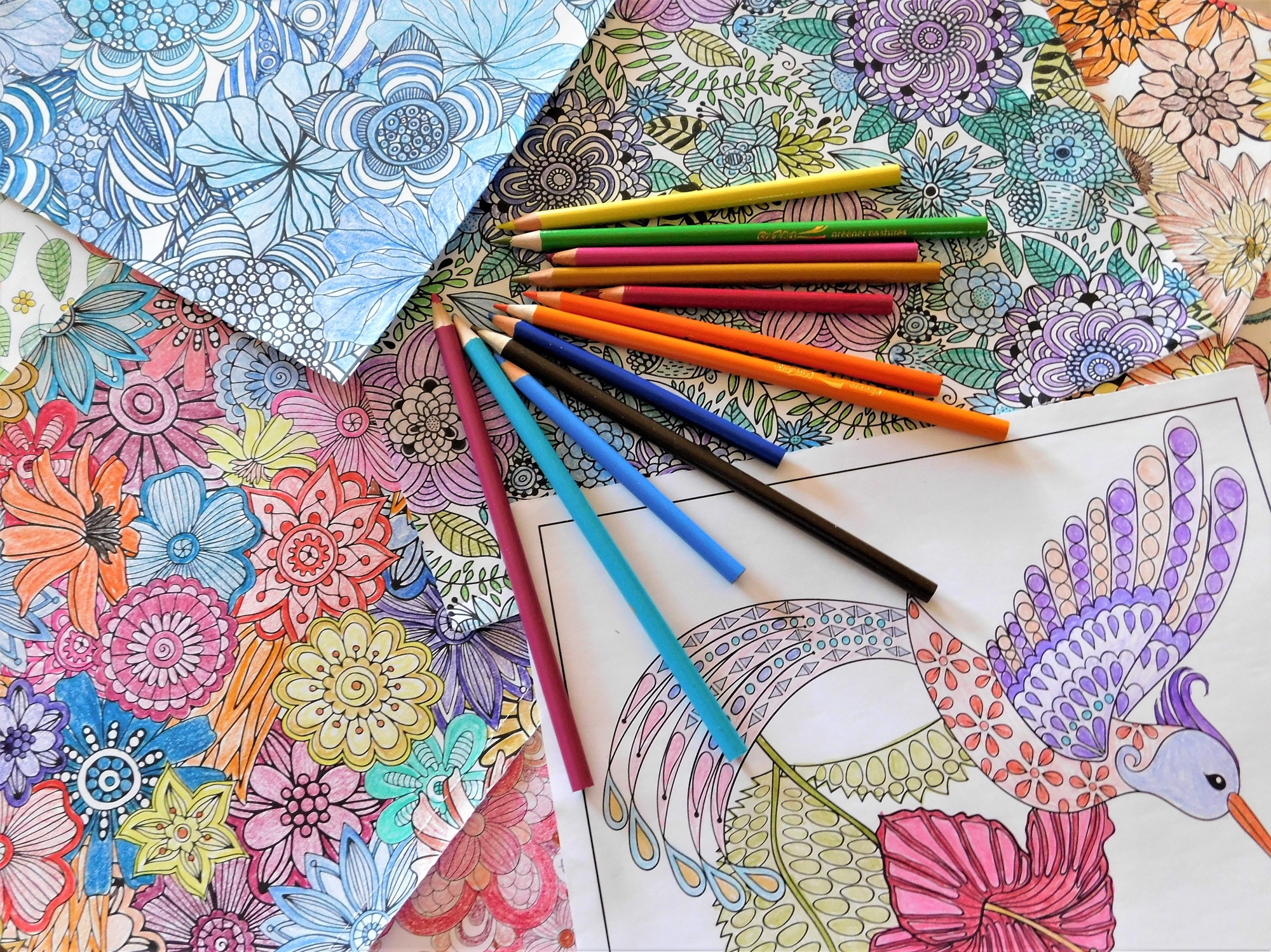 Adult coloring! NOMINATED!!